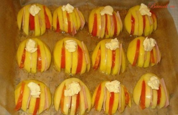 Картофельные ракушки с помидорами и ветчиной