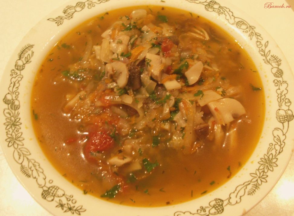 Домашняя грибная солянка