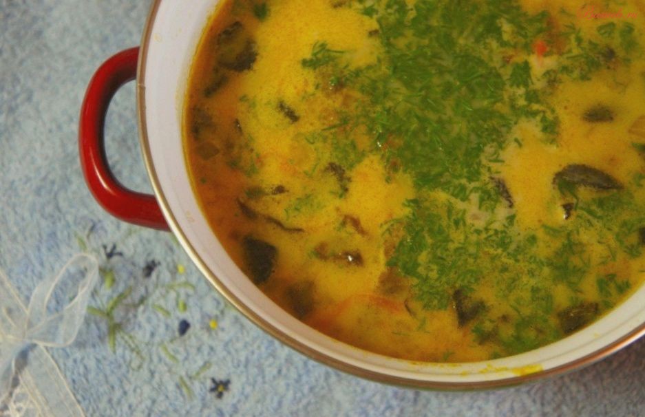 Ароматный суп из сушеных грибов с рисом