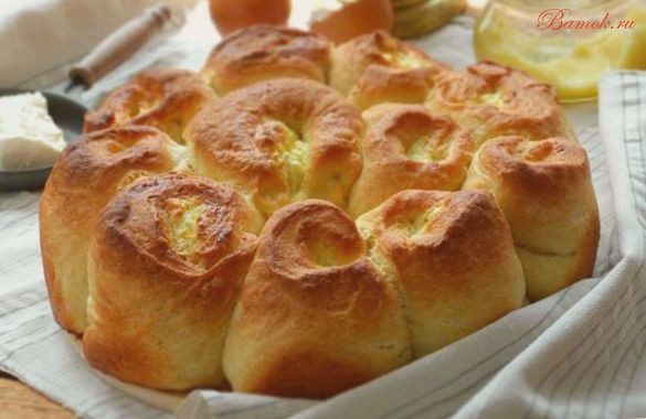 Болгарский тутманник Болгарский тутманник