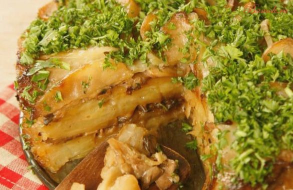 Запеканка из картофеля и шампиньонов и белых грибов Запеканка из картофеля и шампиньонов и белых грибов