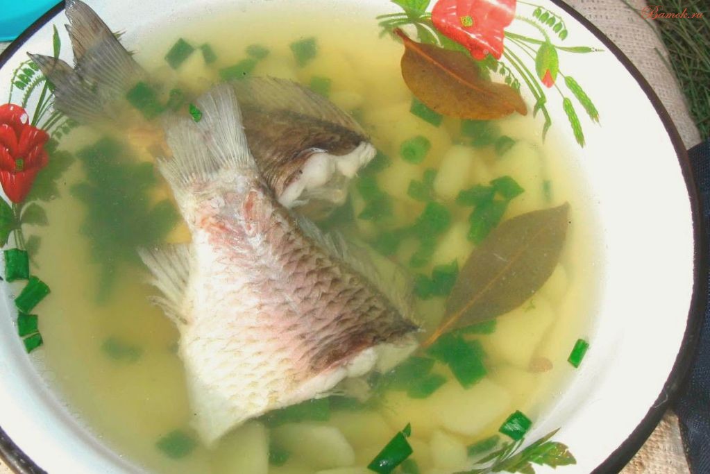 Классическая уха из карася