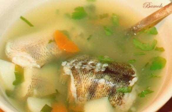 Уха с судаком и курицей Уха с судаком и курицей