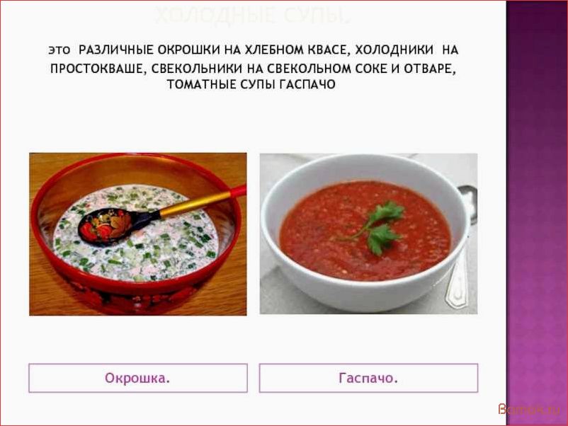 Какие есть супы. Приготовление холодных супов. Виды холодных супов. Ассортимент холодных супов. Холодные супы подразделяются на.