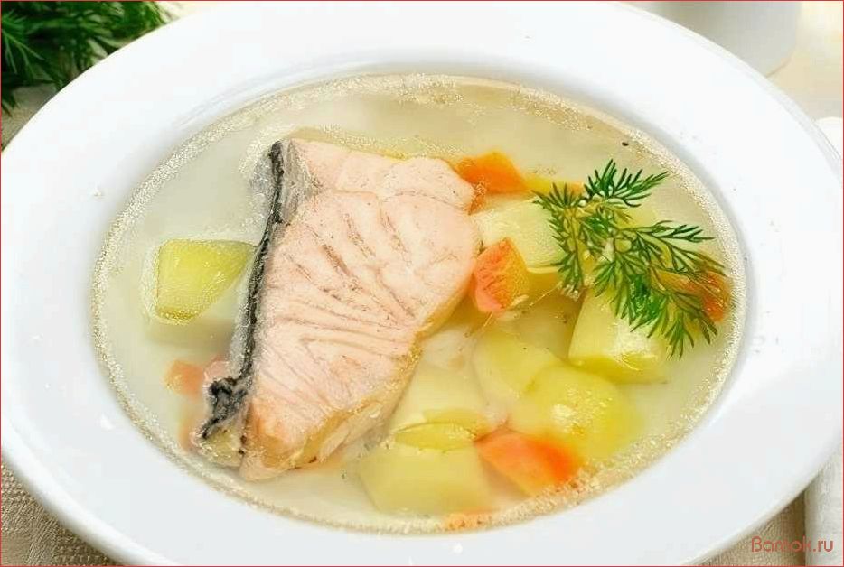 Рыбный суп — полезное и вкусное блюдо для детей — рецепты и советы