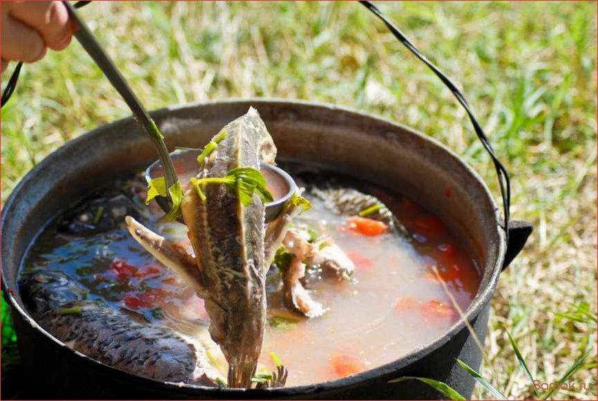 Приготовление вкуснейшей ухи на природе — рецепт, секреты и советы