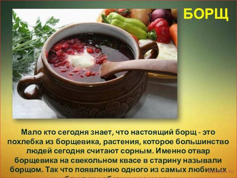 Борщ из борщевика — вкусное и необычное блюдо на основе дикорастущего растения