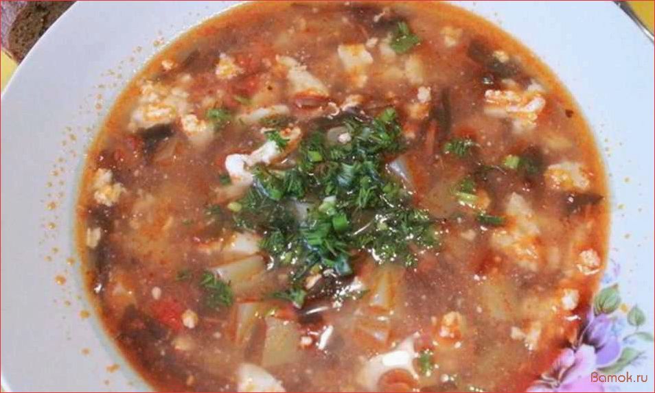 Как приготовить вкусный и полезный борщ с морской капустой — рецепт и секреты