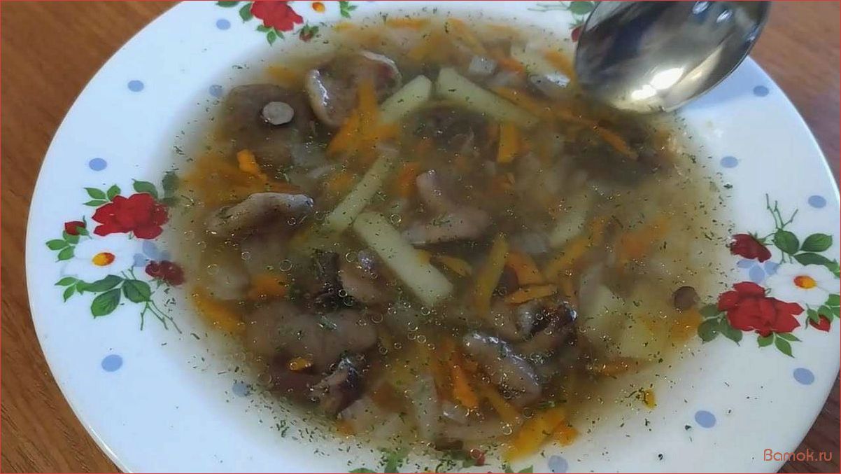 Грибной суп из маслят — рецепт с фото и пошаговыми инструкциями