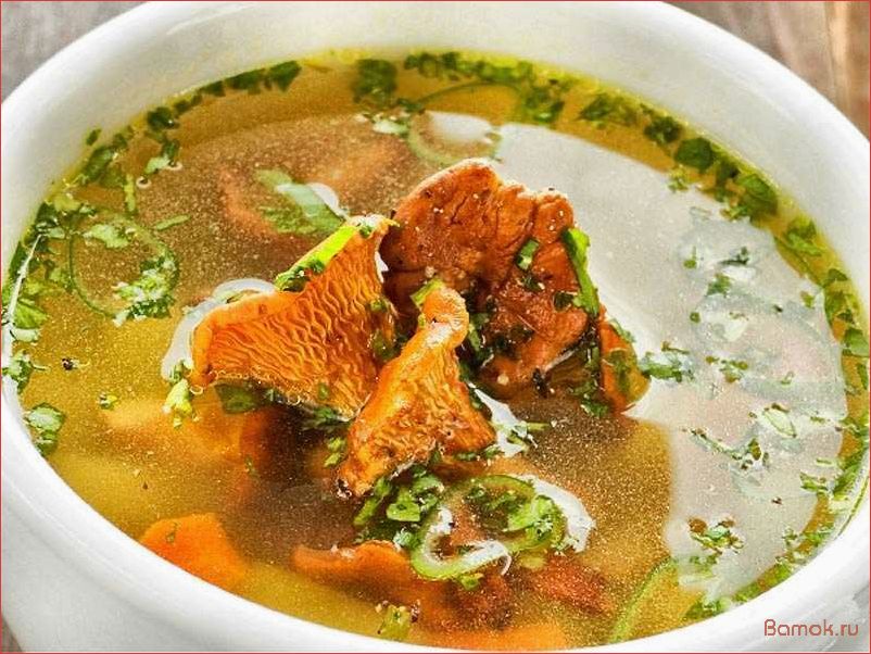 (приготовление, вкусного, ароматного, деревенского, супа) Приготовление вкусного и ароматного деревенского супа с свежими лисичками