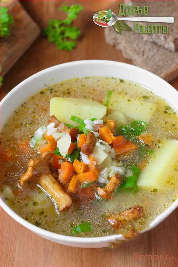 (приготовление, вкусного, ароматного, деревенского, супа) Приготовление вкусного и ароматного деревенского супа с свежими лисичками