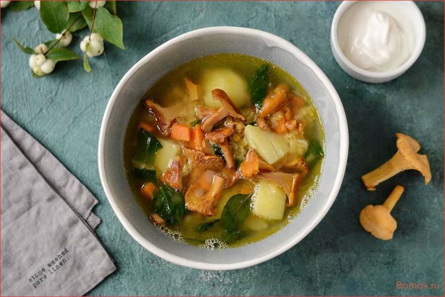 (приготовление, вкусного, ароматного, деревенского, супа) Приготовление вкусного и ароматного деревенского супа с свежими лисичками