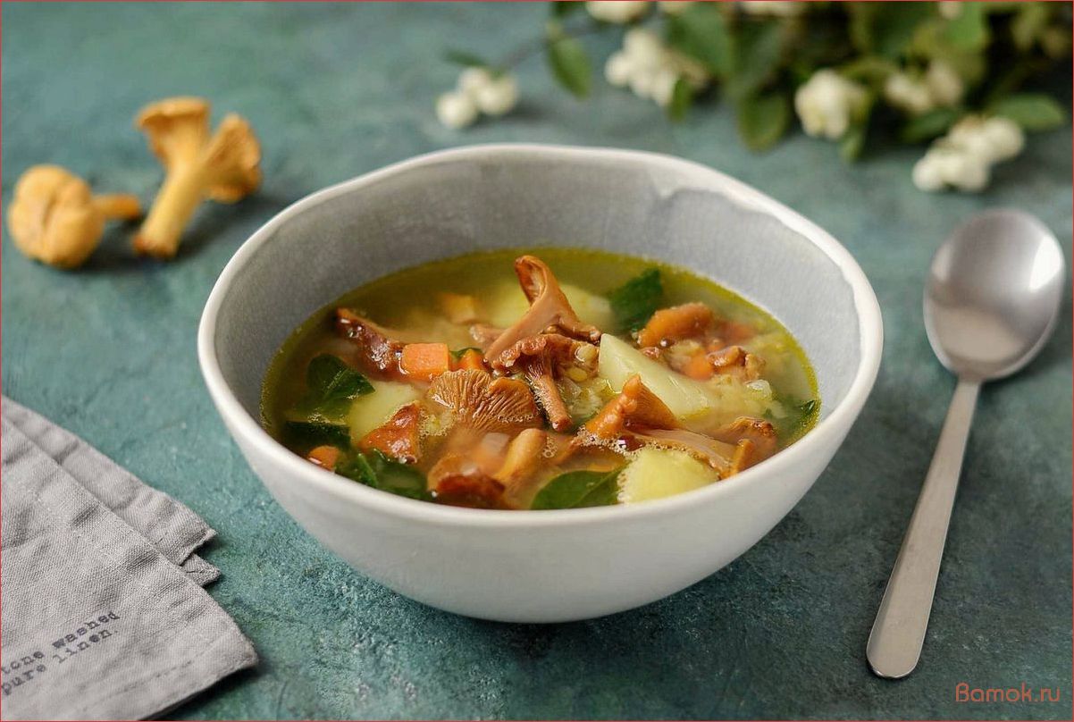 (приготовление, вкусного, ароматного, деревенского, супа) Приготовление вкусного и ароматного деревенского супа с свежими лисичками