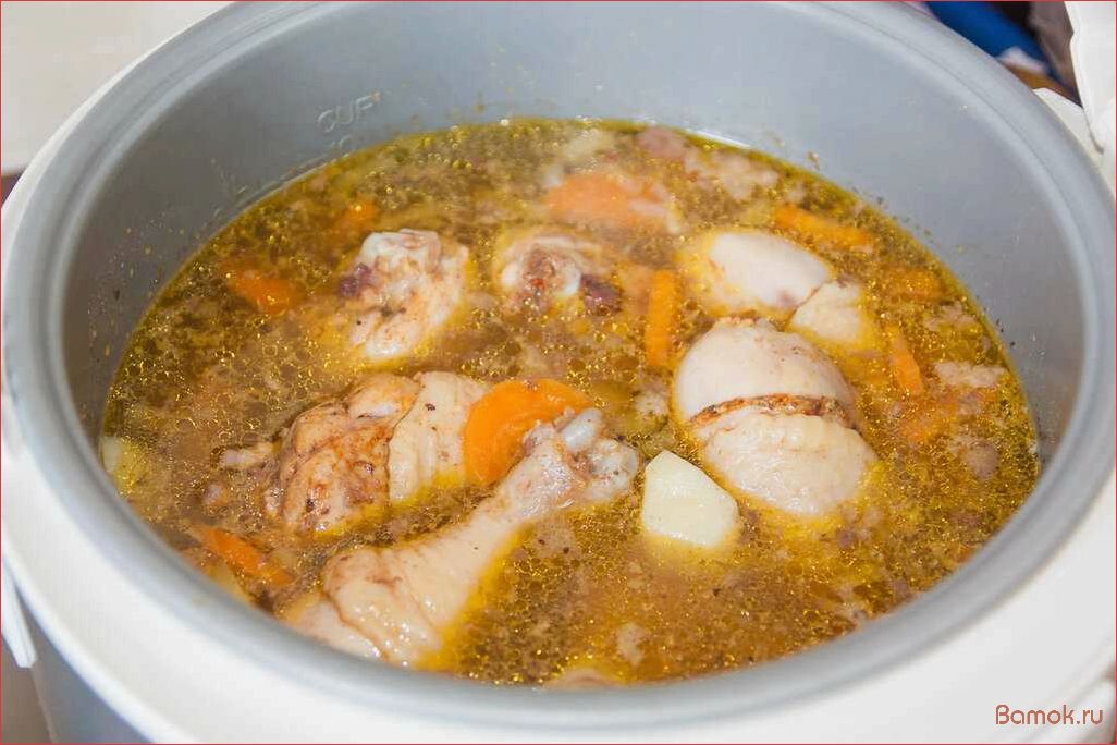 Вкусный и питательный суп из нежнейшей лосятины — рецепты приготовления и полезные свойства