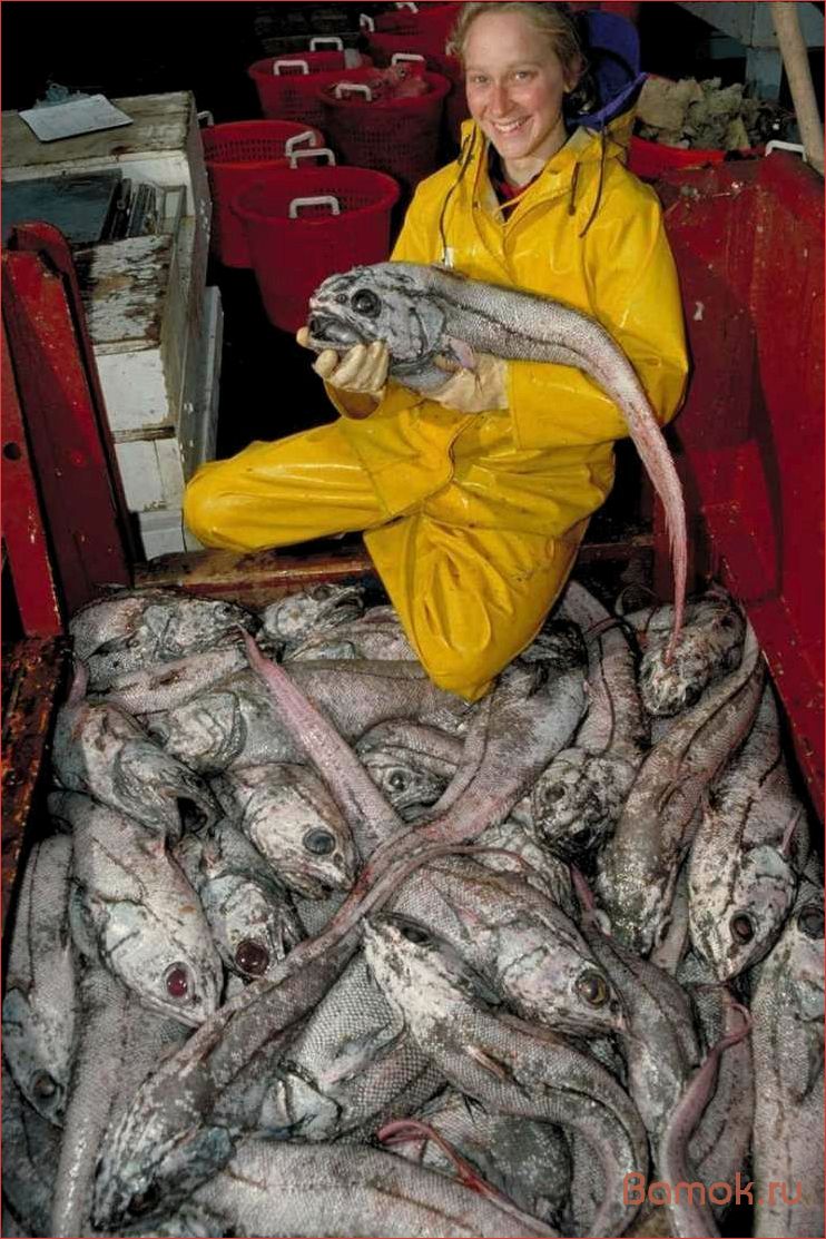 Макрурус — удивительное существо с огромной клешней и невероятной силой