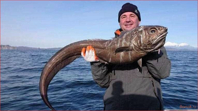 Макрурус — удивительное существо с огромной клешней и невероятной силой