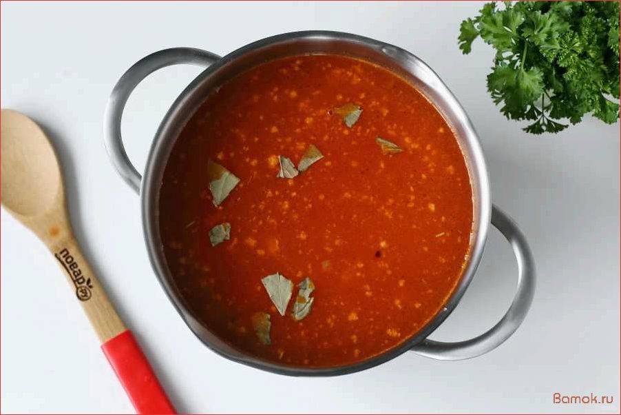 Чехословацкий суп с фаршем — рецепт приготовления и секреты вкуса