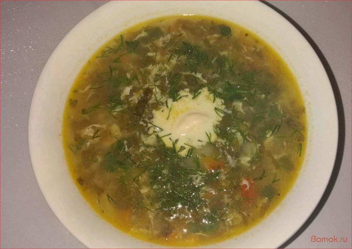 Вкусный и полезный рецепт супа из щавеля на основе ароматного куриного бульона