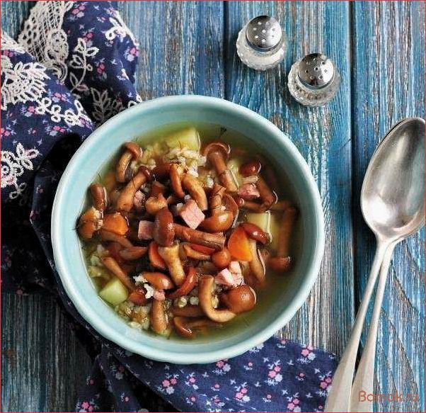 Опятный суп — рецепт, полезные свойства и особенности приготовления