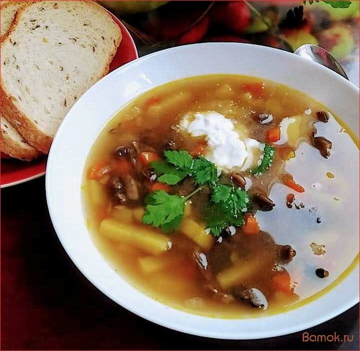 Опятный суп — рецепт, полезные свойства и особенности приготовления