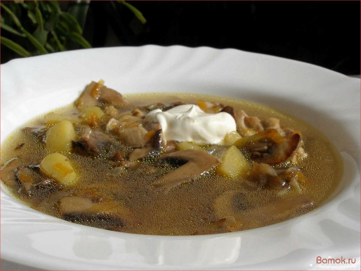 Опятный суп — рецепт, полезные свойства и особенности приготовления