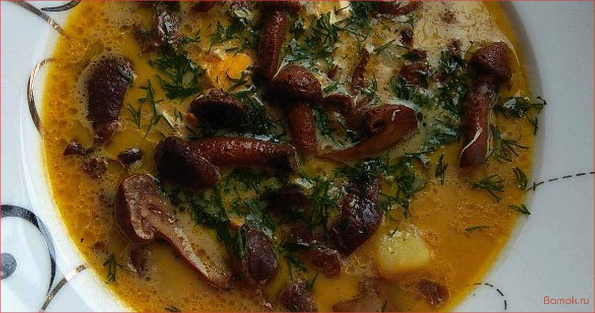 Опятный суп — рецепт, полезные свойства и особенности приготовления