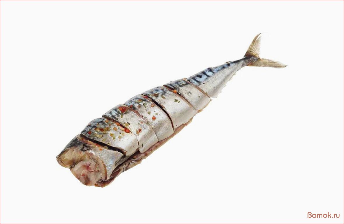 Узнайте все о пряной скумбрии — рецепты, полезные свойства и способы приготовления