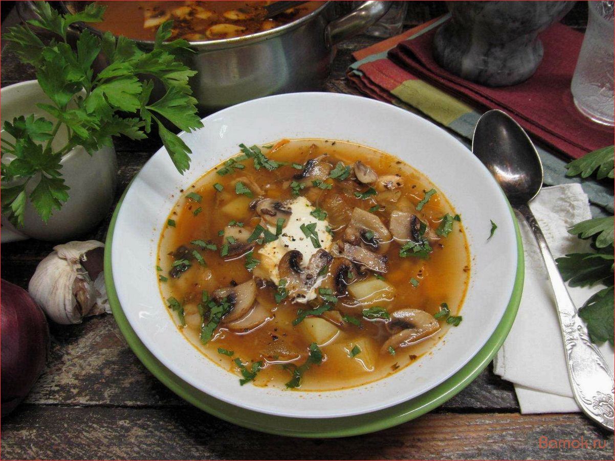 (вкуснейший, рецепт, свежей, капустой, фасолью) Вкуснейший рецепт щей с свежей капустой и фасолью — удиви своих близких с новым изысканным блюдом!