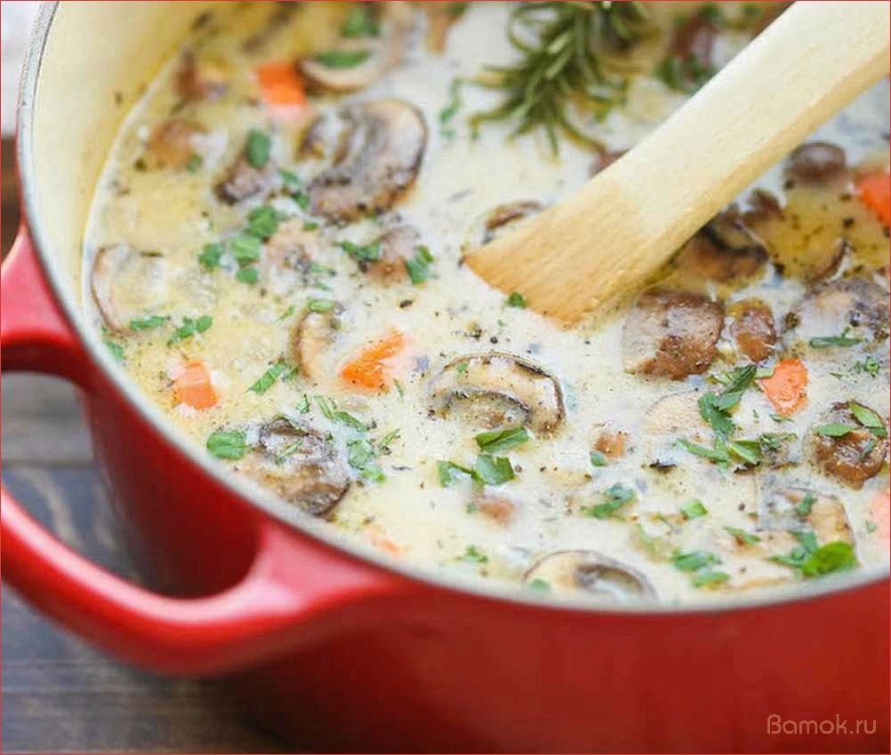 Суп с грибами и мясом — простой рецепт для насыщенного обеда