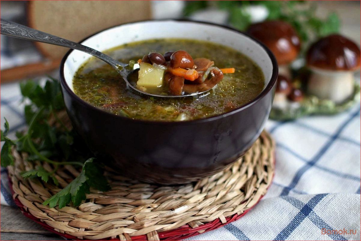 Суп с грибами и мясом — простой рецепт для насыщенного обеда