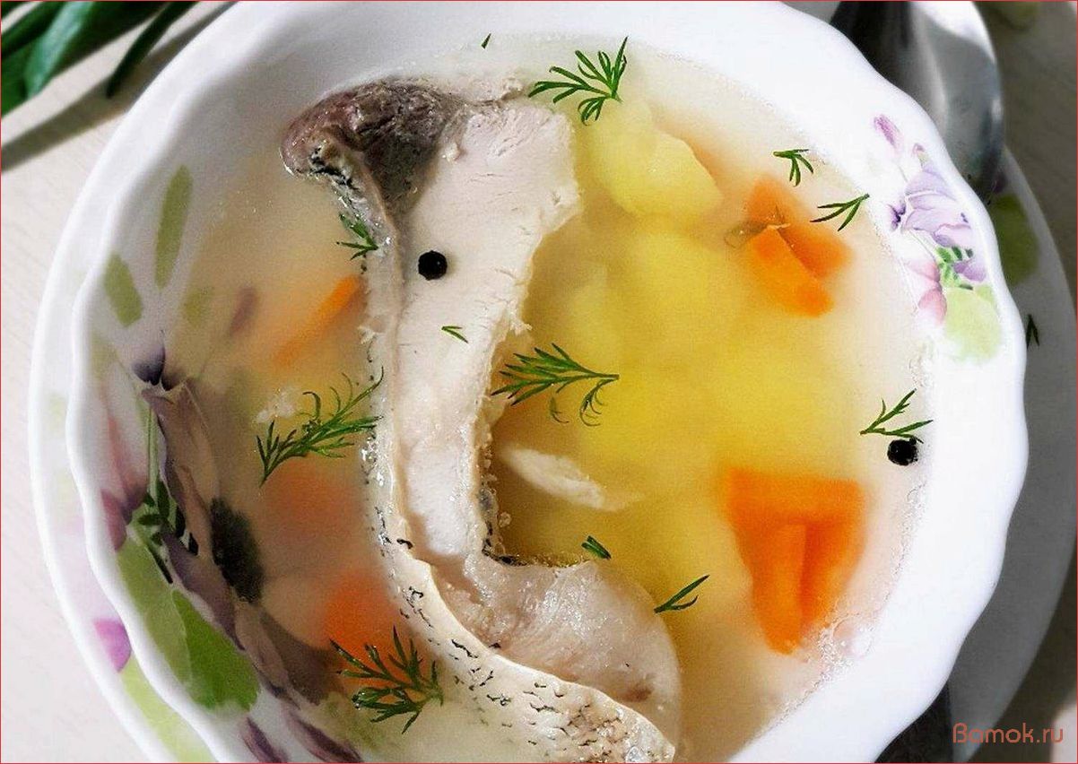 Уха из толстолобика — вкусный и полезный рецепт для всей семьи