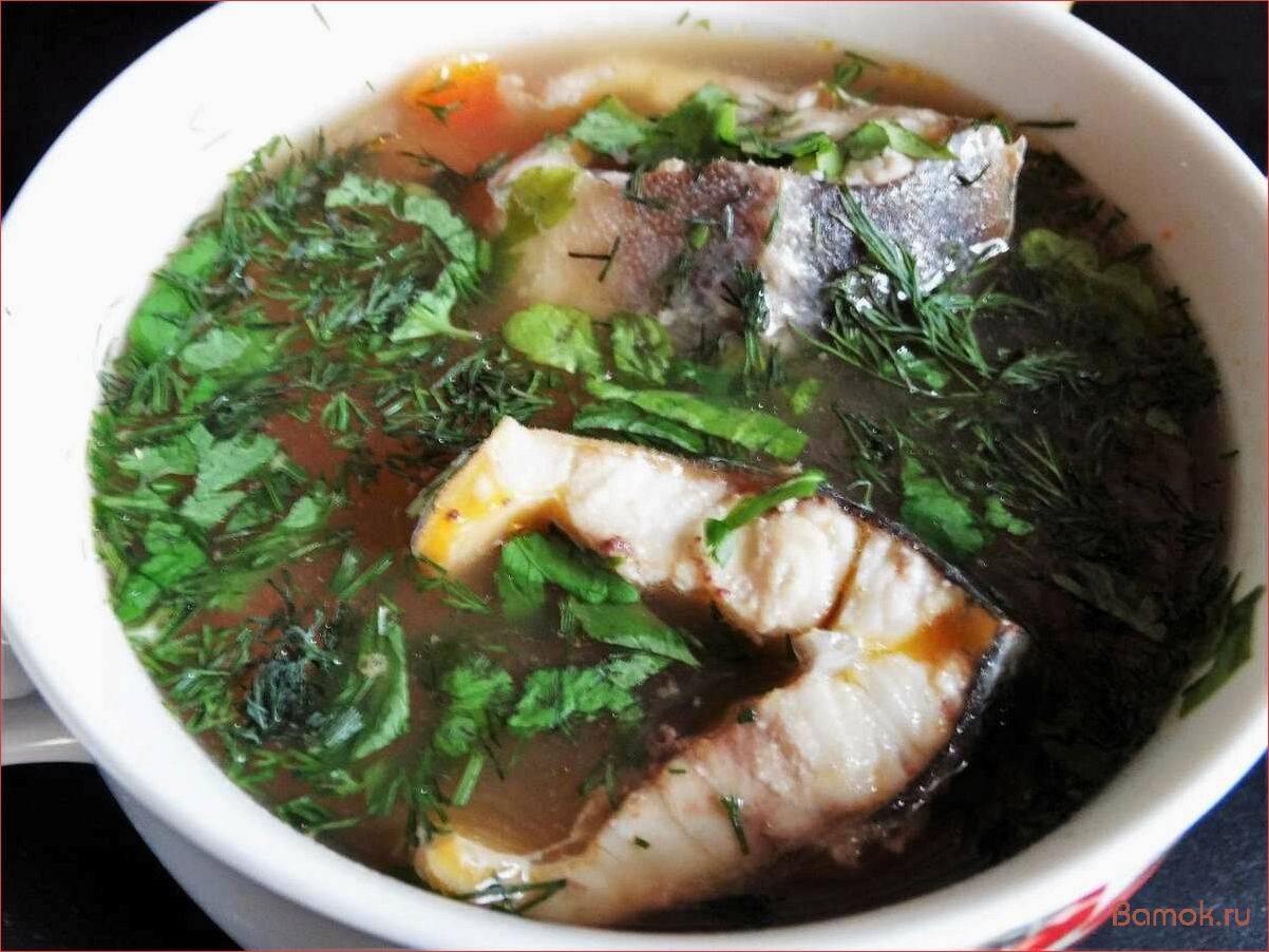 Приготовление вкуснейшей ухи из свежей стерляди — легкий и быстрый рецепт для настоящих гурманов