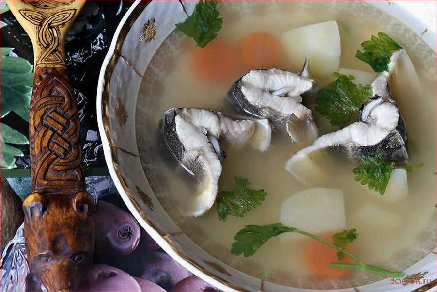 Приготовление вкуснейшей ухи из свежей стерляди — легкий и быстрый рецепт для настоящих гурманов