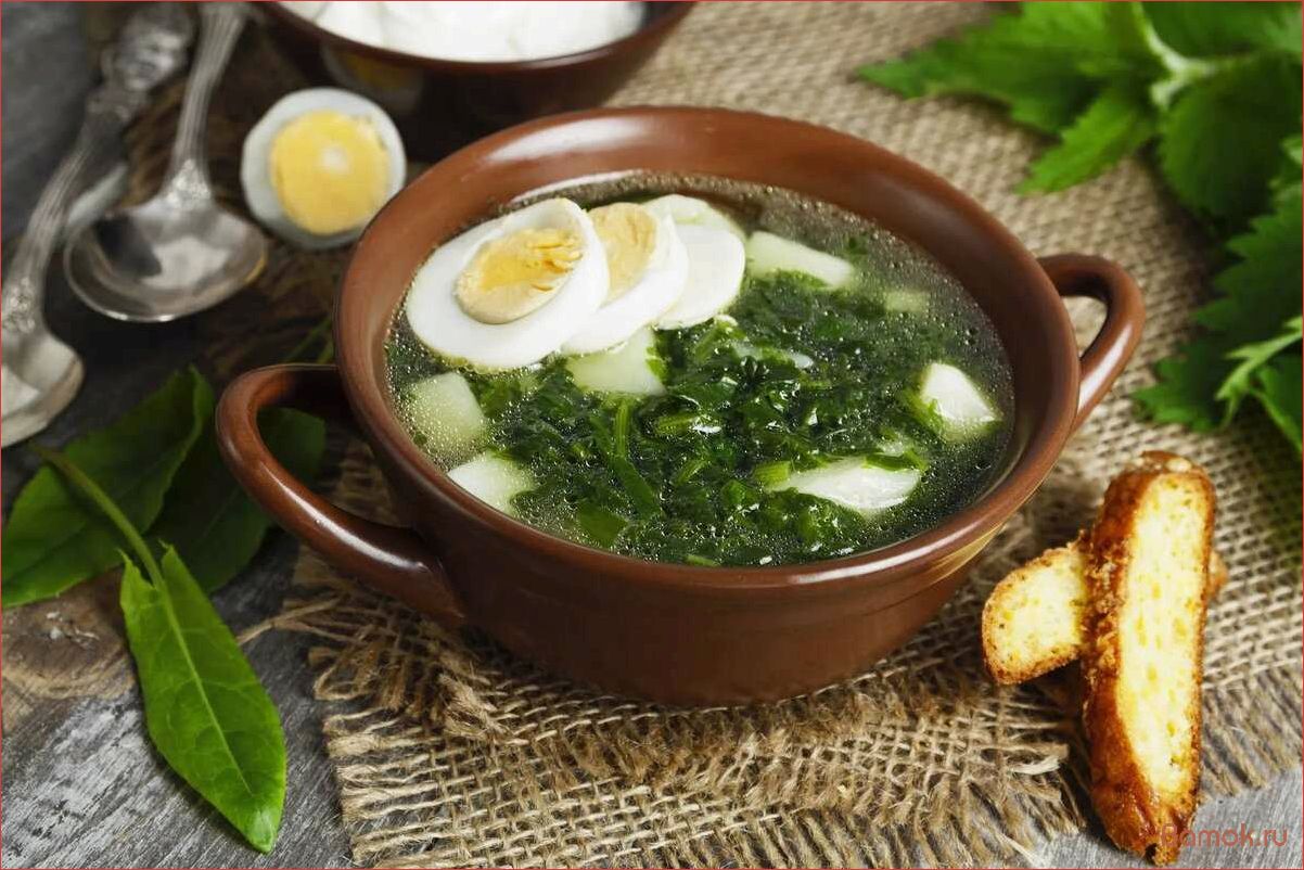 Холодный щавелевый суп — вкусное и освежающее блюдо для летней жары