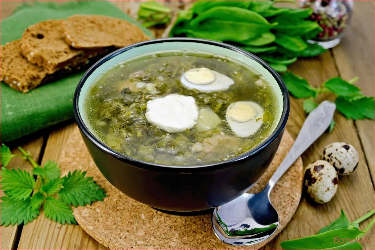(щавелевый, борщ, вкусное, полезное, блюдо) Щавелевый борщ — вкусное и полезное блюдо для всей семьи