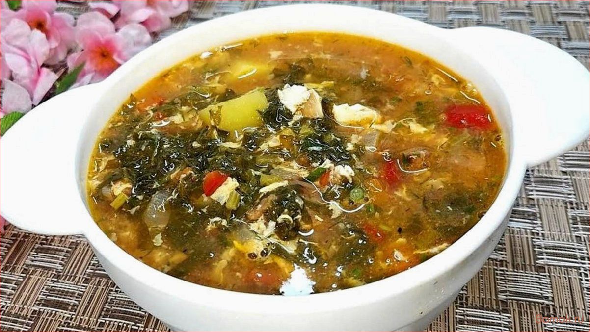 (щавелевый, борщ, вкусное, полезное, блюдо) Щавелевый борщ — вкусное и полезное блюдо для всей семьи