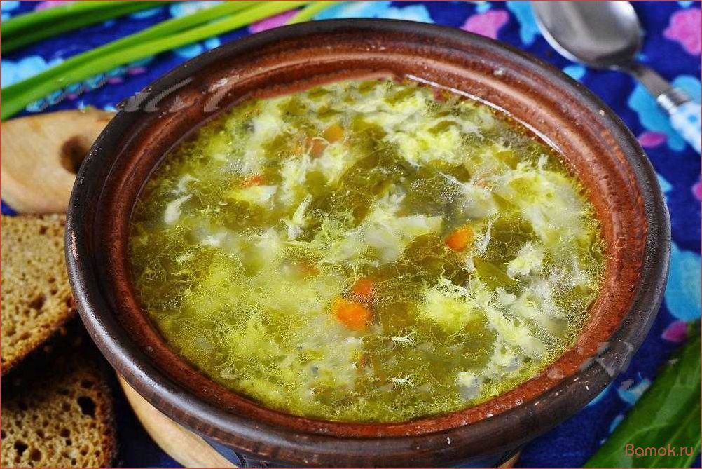 Вкусный и полезный рецепт щавелевого супа с яйцом — простой способ приготовления и особенности подачи