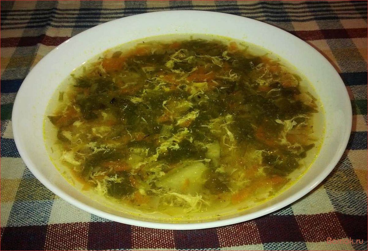 Вкусный и полезный рецепт щавелевого супа с яйцом — простой способ приготовления и особенности подачи