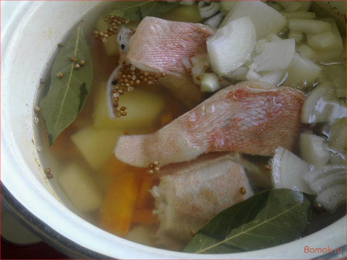 Уха из морского окуня — рецепт вкусного и питательного блюда с морепродуктами