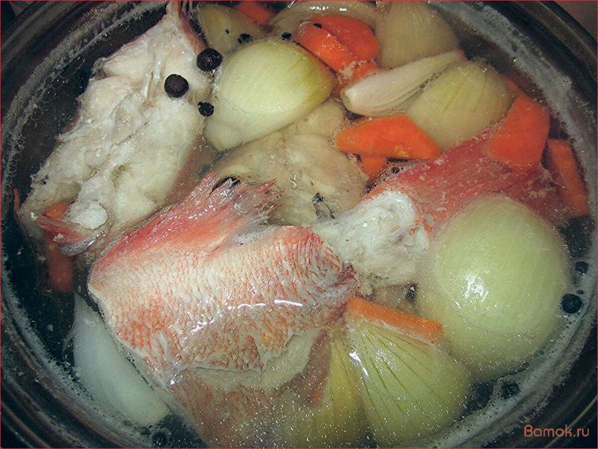 Уха из морского окуня — рецепт вкусного и питательного блюда с морепродуктами