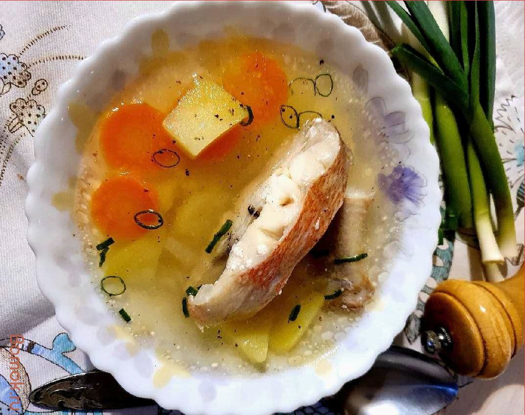 Уха из морского окуня — рецепт вкусного и питательного блюда с морепродуктами