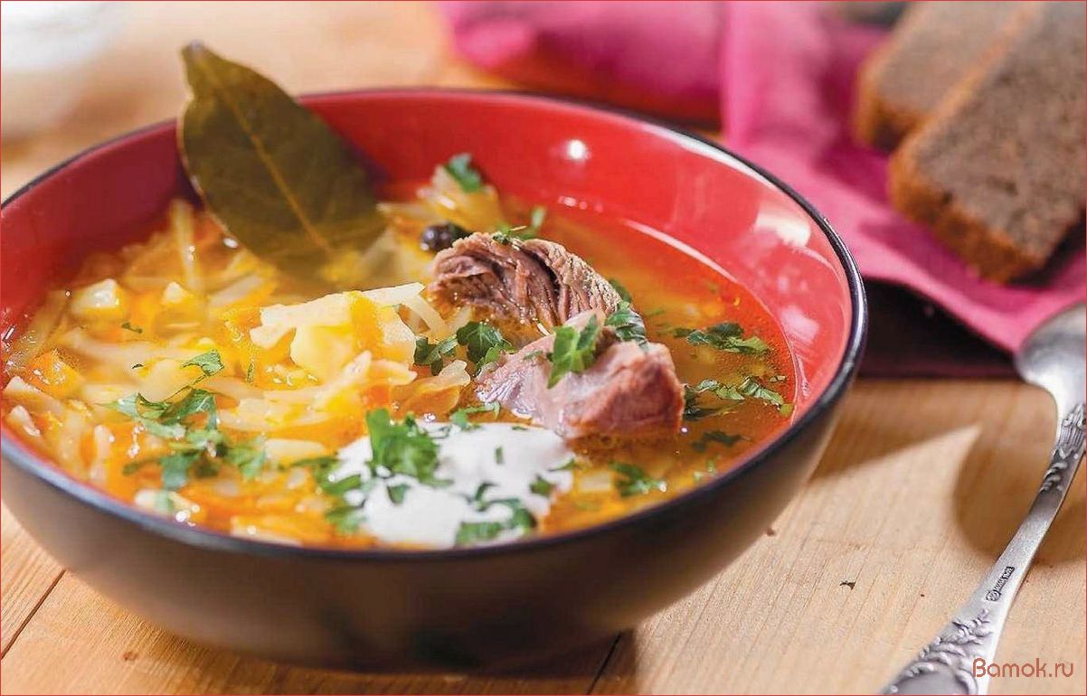 (приготовить, вкусные, ароматные, квашеной, капусты) Как приготовить вкусные и ароматные щи из квашеной капусты в домашних условиях