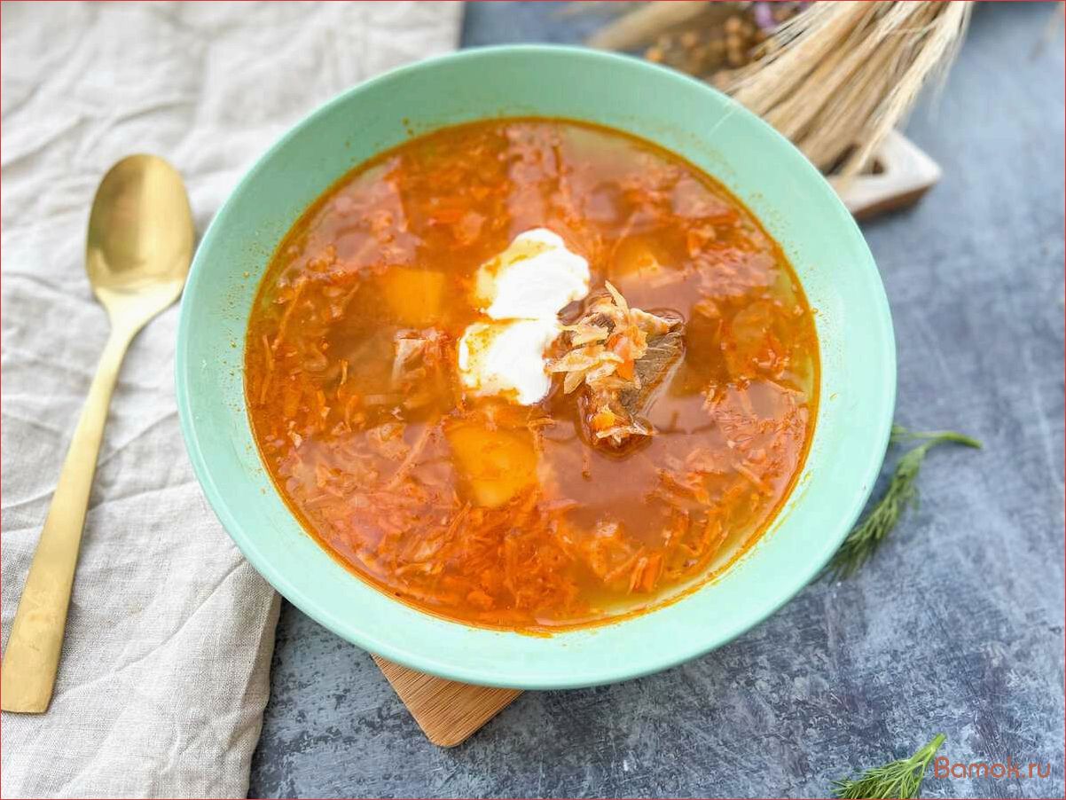 (приготовить, вкусные, ароматные, квашеной, капусты) Как приготовить вкусные и ароматные щи из квашеной капусты в домашних условиях